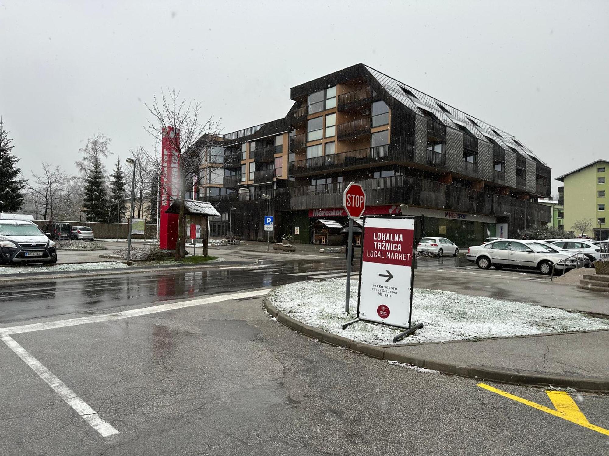 Apartma Tisa Bohinj Exteriér fotografie