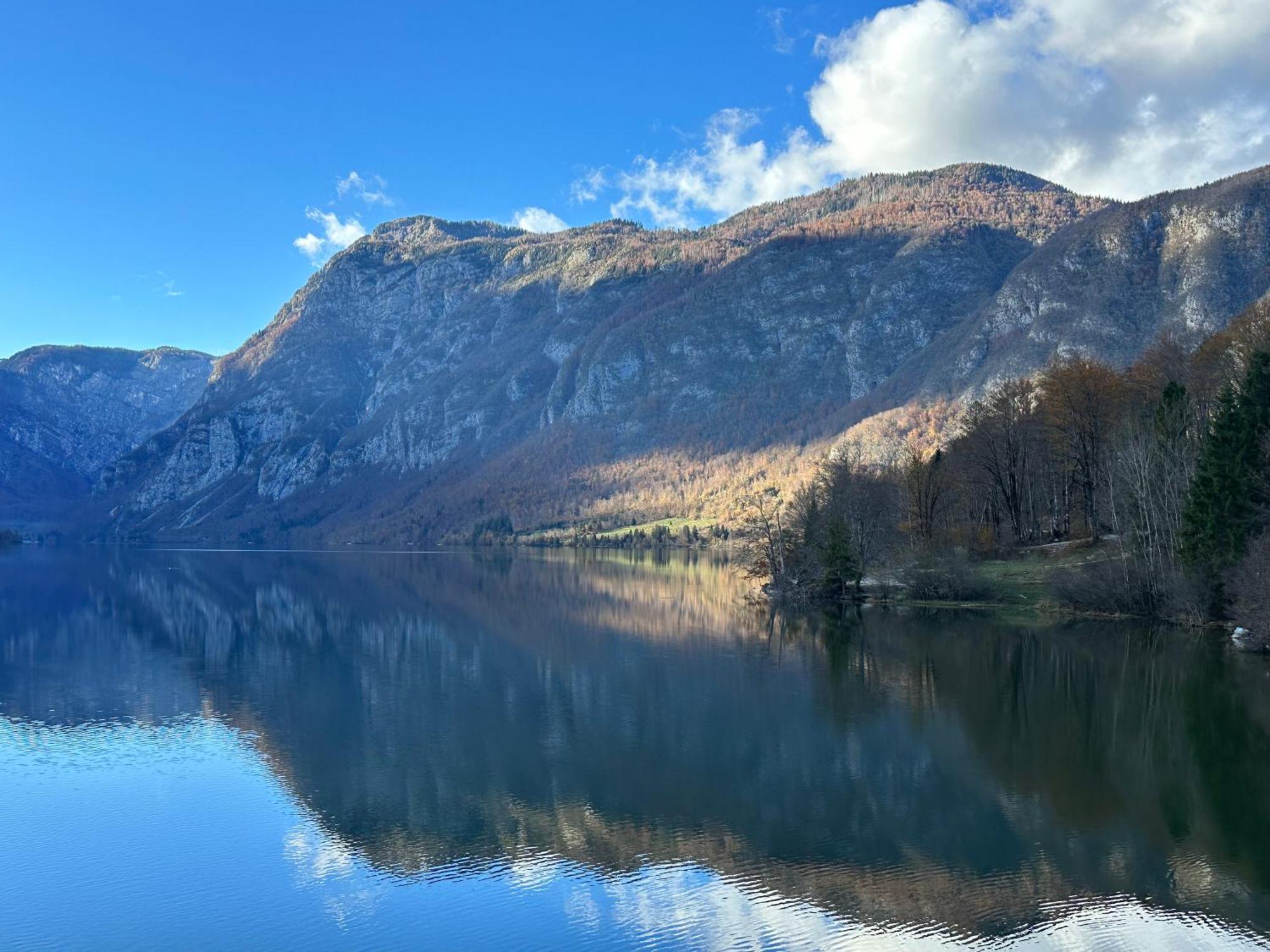 Apartma Tisa Bohinj Exteriér fotografie